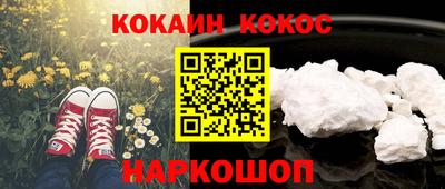прущие грибы Краснодар