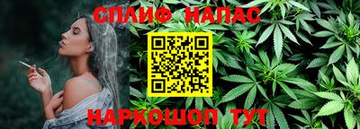 прущие грибы Краснодар