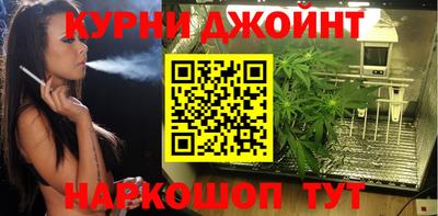 прущие грибы Краснодар