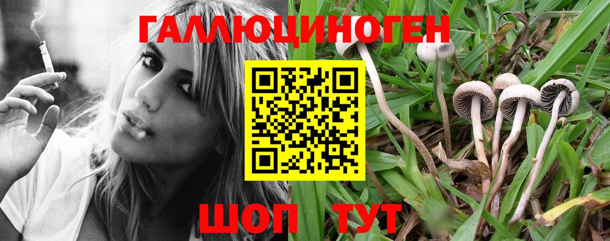 Чайковский  Псилоцибиновые грибы MAGIC MUSHROOMS  Вход с VPN  дарнет шоп  Псилоцибиновые грибы Cubensis 